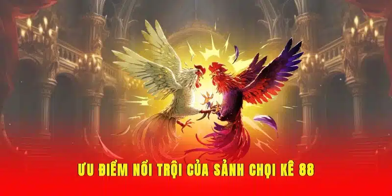 Ưu điểm nổi trội của sảnh chọi kê 88